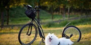 Unleashing the Secret to Solving Dog Behavior Issues: Proven Solutions for a Well-Behaved Pup