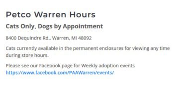 5 Places to Adopt a Dog in Oakland County, Michigan
